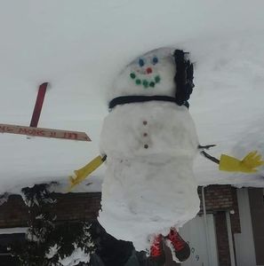 Meet your Posher, Sandy